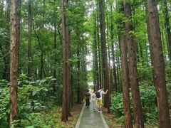 -同里国家湿地公园