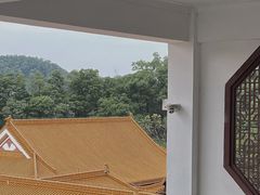 -深圳仙湖植物园