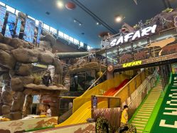 -卡通尼·Safari非洲探索乐园·生日会(金桥国际商业广场店)