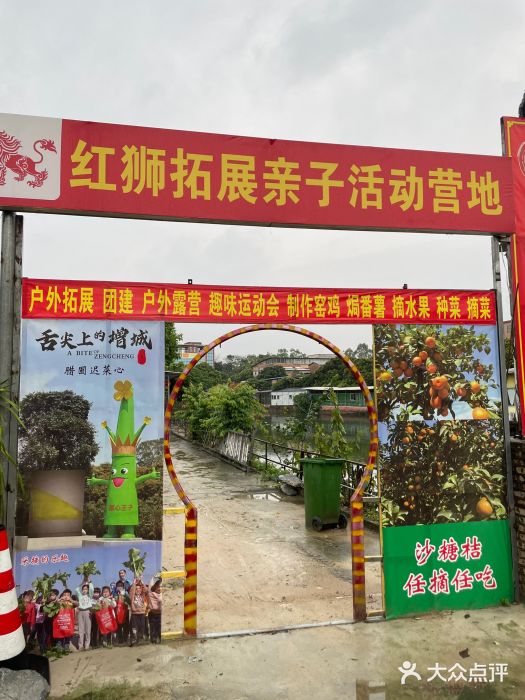 荔枝红五号农庄图片