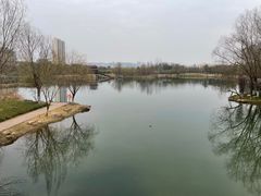 -洋湖国家湿地公园