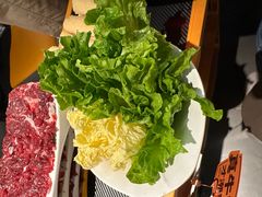 -潮发潮汕牛肉店(东方宝泰店)