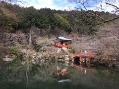 -醍醐寺