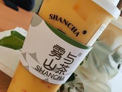 -雾与山茶(大禹城店)