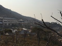 -徂徕山森林康养度假谷温泉