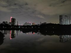 -福田红树林生态公园