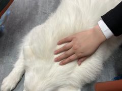 -汪说·狗咖(旺城大厦店)
