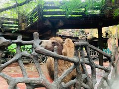 -长鹿旅游休博园