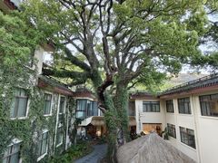 -普陀山雷迪森庄园