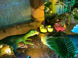 -恐龙探索乐园(磁器口店)