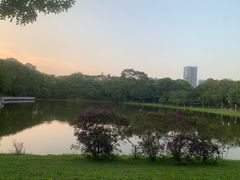 -东莞植物园