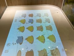 -麦当劳(龙财富广场店)