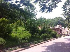 -丹东市五龙山风景区