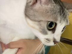 -谜盒子奇幻密室(南屏店)