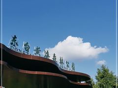 -黄海国家森林公园