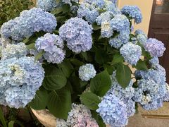 -花满楼(启秀路店)