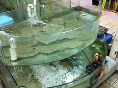 -四海鲜渔家菜(黄金海岸店)