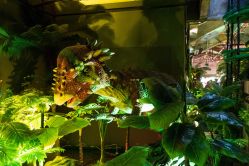 -恐龙探索乐园(磁器口店)