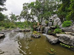 -东莞植物园