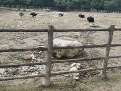 -西安秦岭野生动物园