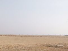 -盐城丹顶鹤湿地生态旅游区