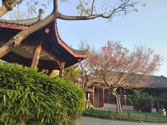 -堤角公园