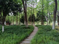 -后襄河公园
