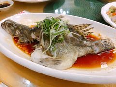 清蒸桂花鱼-金百门·顺德海鲜酒家(陈村店)