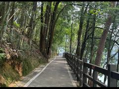 -广州市流溪河国家森林公园