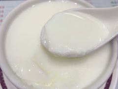 姜撞奶-义顺牛奶公司(新马路老店)