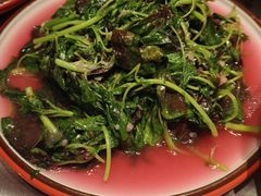 -红辣椒·川菜·火锅(张杨路店)