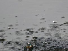 -重庆彩云湖湿地公园