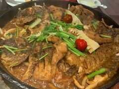 -老板恋上鱼(高新万达店)