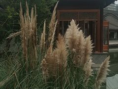 -龙潭水乡