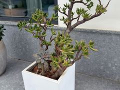 -华凌山庄·隐湖栖