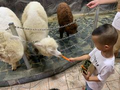 -上海大自然野生昆虫馆(东方明珠·爬宠昆虫探索中心)