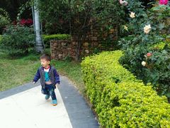 -人民公园(罗湖区)