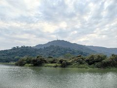 -风云岭森林公园