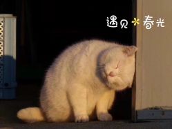 -17.壹柒·美学高定空间