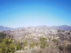 -白水寺森林公园