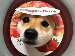 -太平洋咖啡(五月花店)
