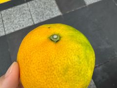 -西归浦每天偶来市场