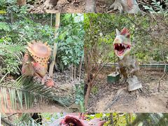 -呀路古热带植物园