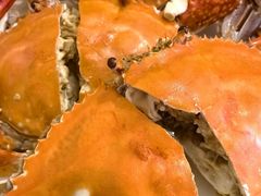 -北塘海鲜·天津菜(大光明桥旗舰店)