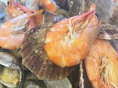 -港畔赶海蒸汽海鲜烧烤自助(仙螺岛店)