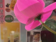 -顺德佬(石厦店)