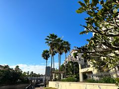 -大屏嶂森林公园
