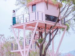 -福建鲤鱼洲酒店