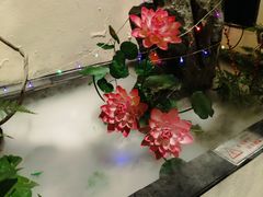 -東大方(海宁海昌路店)