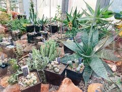 -国家植物园南园